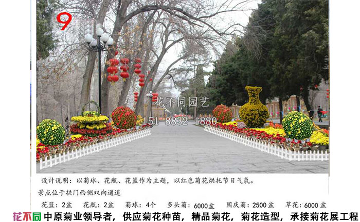 菊花展設計方案-沿路設計效果圖