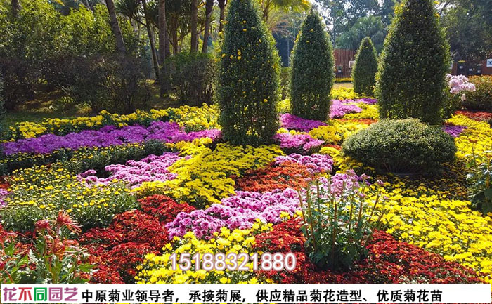 菊花花?；焐M合設(shè)計(jì)配色方案